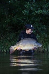 Mirror Carp