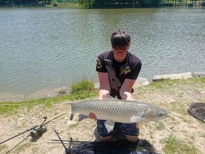 Grass Carp