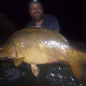 Mirror Carp