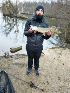 Northern Pike