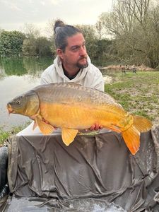 Mirror Carp