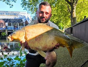 Mirror Carp