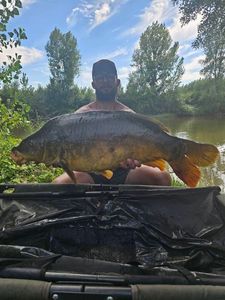 Mirror Carp