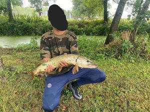 Northern Pike