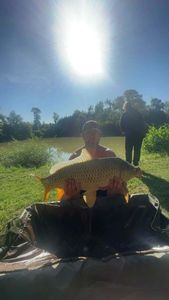 Common Carp