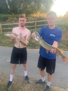 Northern Pike