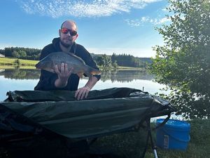 Crucian Carp