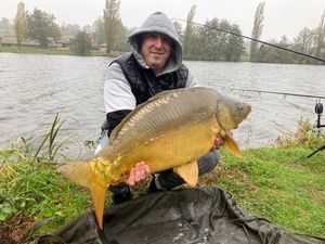 Mirror Carp