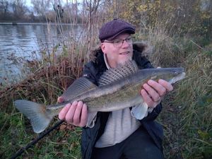 Zander