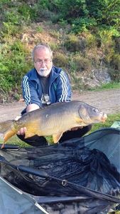 Mirror Carp