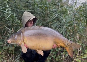 Mirror Carp