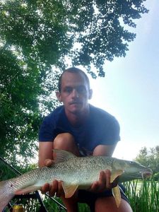 Barbel