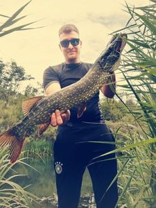 Northern Pike