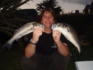 European Bass (Seabass)