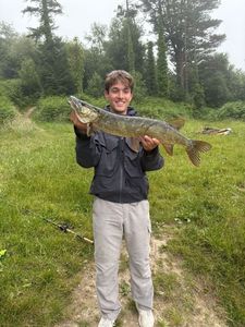 Northern Pike