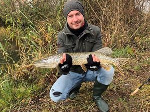 Northern Pike