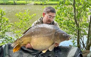 Mirror Carp