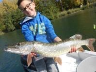 Northern Pike