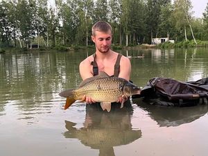 Common Carp