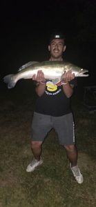 Zander
