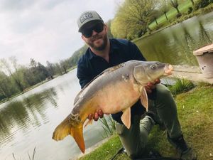 Mirror Carp
