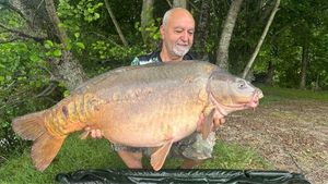 Mirror Carp