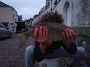 gardon  de fond