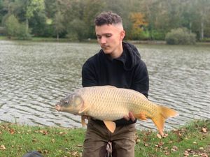 Common Carp
