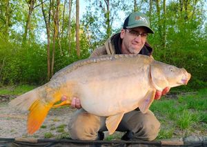 Mirror Carp