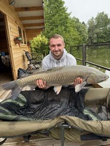 Grass Carp