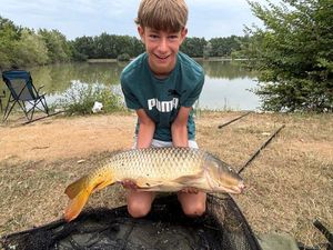 Common Carp