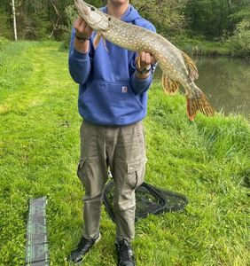 Northern Pike