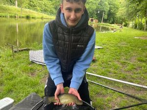 Tench