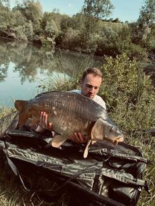 Mirror Carp