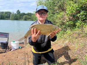Common Bream