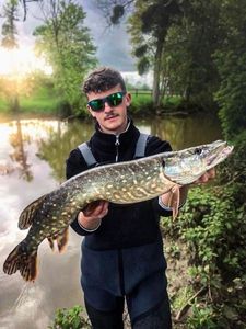 Northern Pike