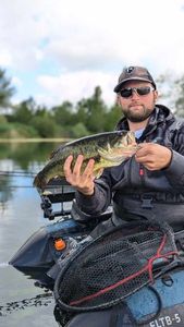 Largemouth Bass