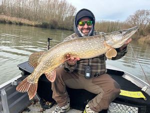 Northern Pike