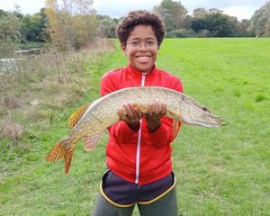 Northern Pike