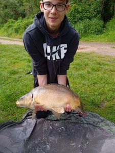 Mirror Carp