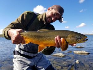 Arctic Char