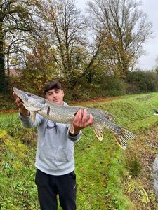 Northern Pike