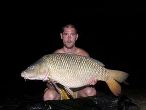 Common Carp