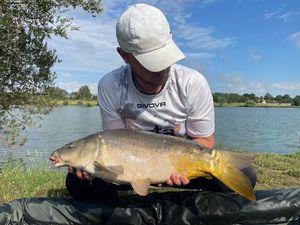 Mirror Carp