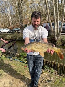 Common Carp