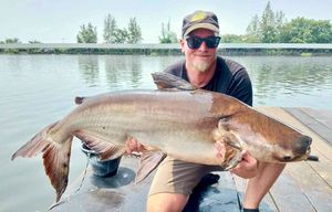 Mekong Giant Catfish