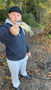 Smallmouth Bass