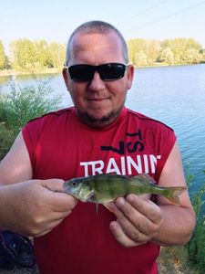 European Perch