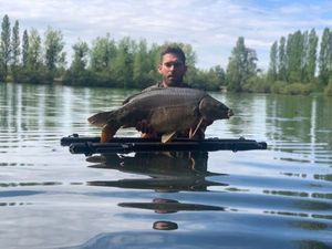 Mirror Carp