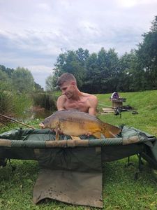 Mirror Carp